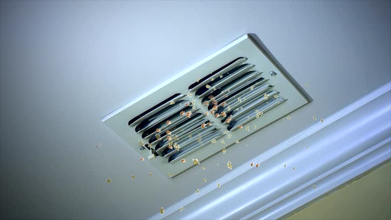 Best Air Duct Cleaning Near Me  in Perry Hall, MD