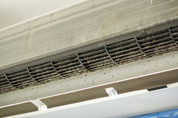 Best Ductwork Cleaning Services  in Perry Hall, MD
